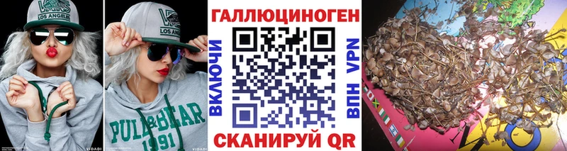Псилоцибиновые грибы ЛСД  Суворов 